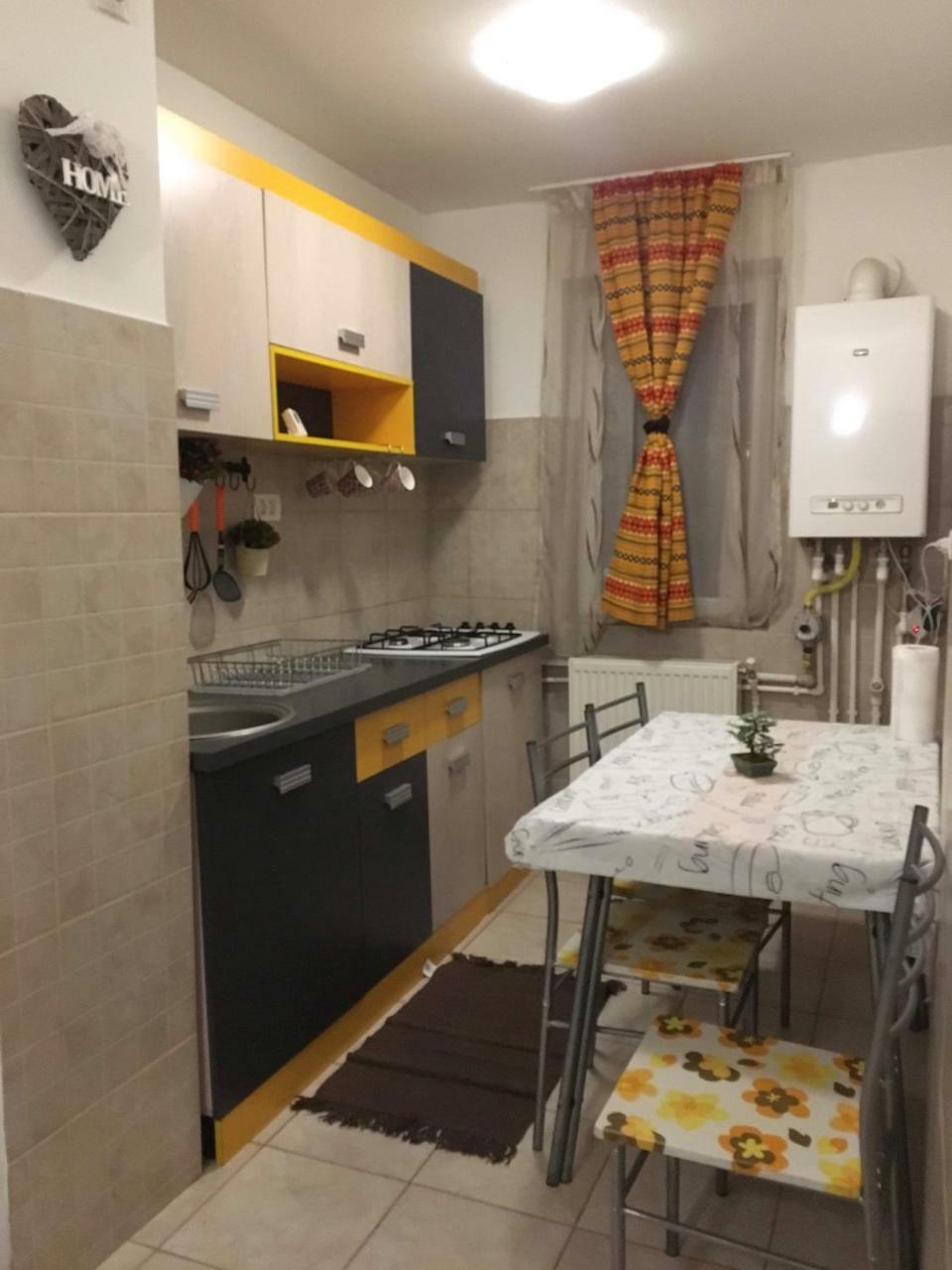 Apartament Anca Apartment Tirgu Ocna Exterior photo